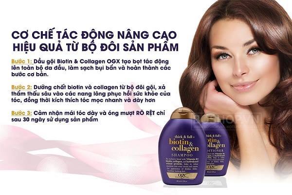 Tác dụng và cơ chế Chính của Dầu Gội Xả Biotin Collagen