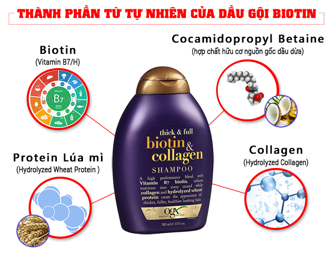 Thành Phần Của Dầu Gội Biotin Collagen Hoàn Toàn từ Thiên Nhiên