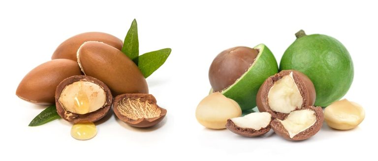 Thành phần chính của tinh dầu dưỡng tóc Macadamia