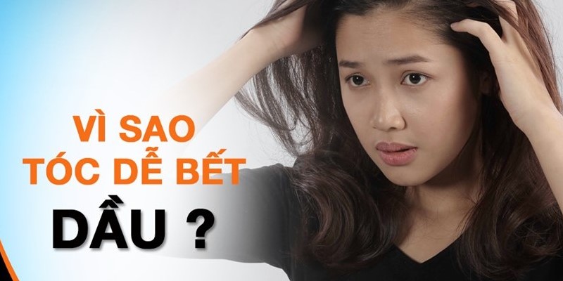 Vì Sao Tóc Dể Bết Dầu 