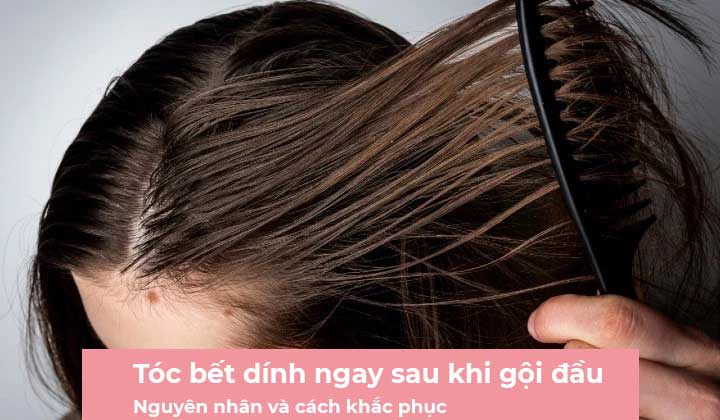 Gội đầu Mà Tóc Vẫn Bết Dính: Nguyên Nhân, Cách Khắc Phục