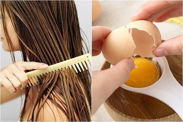 Trứng gà có tác dụng kháng viêm, diệt khuẩn gây ra trên gàu da đầu rất tốt