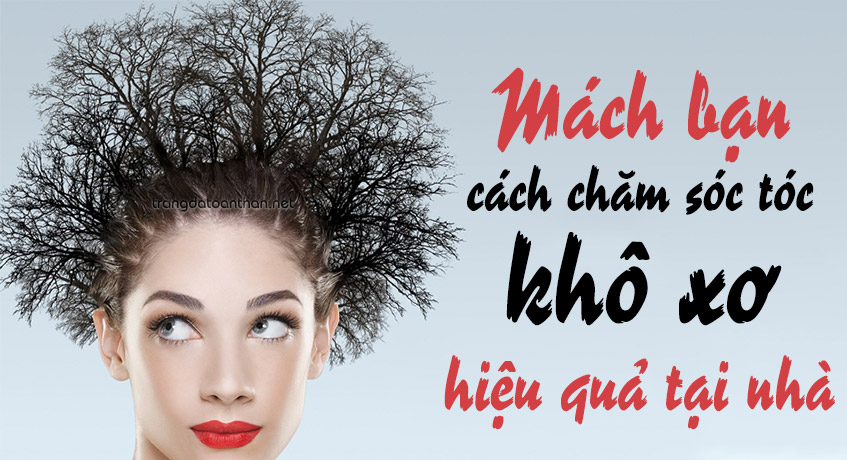 Dầu gội phục hồi tóc hư tổn nặng loại nào tốt  Công Ty Cổ Phần LAVO