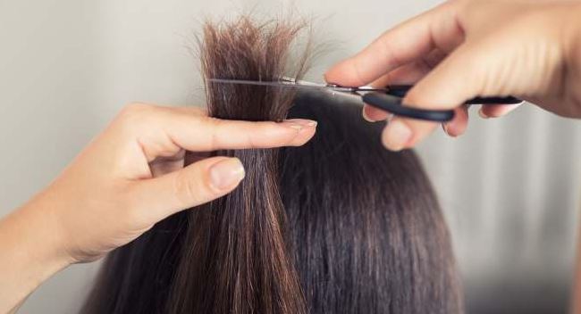 Tóc khô xơ chẻ ngọn nên dùng dầu gội gì? 5 THẦN DƯỢC phục hồi tóc tốt nhất