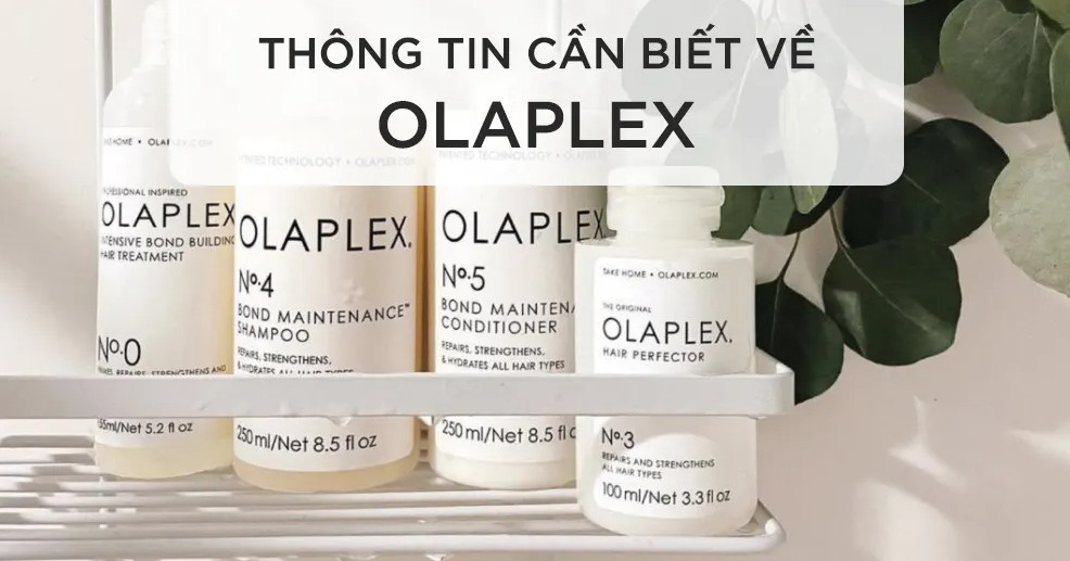 Sản phẩm Olaplex có an toàn không? hiện nay Olaplex có những sản phẩm nào